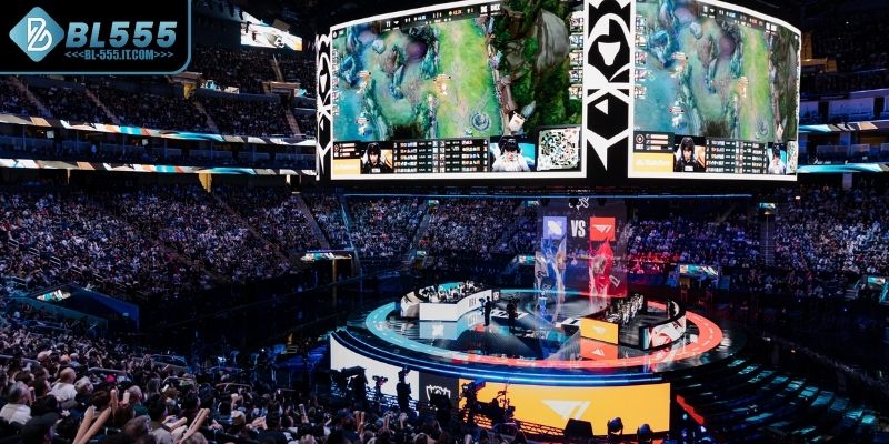 Cược các sự kiện đặc biệt